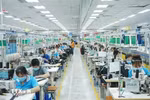At Dong An 1 Industrial Park in Binh Duong province (Photo: VNA)