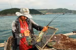 Lobster farming to become key economic sector in central region 