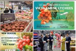 Vietnamese lychee sold well at Costco stores in Australia (Photo: VNA)