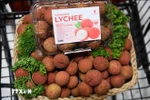 Vietnamese lychees become familiar to Thai consumers (Photo: VNA)