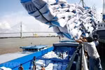 Rice exports to set record turnover of 5 billion USD in 2024 (Photo: VNA)