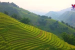 Foreign magazine marvel at enchanting palette of Sa Pa’s autumn