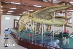 Vietnam’s biggest whale skeletons on display on Ly Son Island
