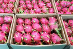 Dragon fruit makes a splash at Spinneys debut in Saudi Arabia
