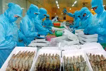 Vietnam’s fishery products standing firm in Singapore