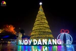 Da Nang to host New Year Festival to attract tourists (Photo: https://baotainguyenmoitruong.vn)