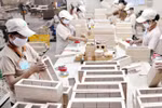 Agreement helps Vietnam boost timber exports to EU 