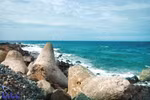 Con Co island tourism route to open 