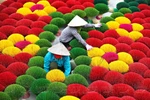 Hanoi’s incense village captivates travellers