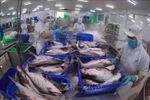 Tra fish markets expected to recover next year