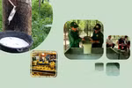Vietnam aims for 800,000 - 850,000 ha of rubber by 2030