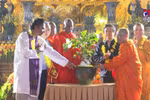 Sapling from world's longest-living Bodhi tree planted in Bai Dinh pagoda