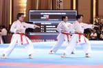 Vietnamese Karate fighters conclude SEA Games with six golds