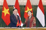Vietnam attaches importance to promoting ties with Indonesia: NA Chairman