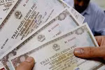 Vietnam’s local bond market up 5.1%: ADB