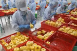 Veggie, fruit exports to China enjoy double-digit growth