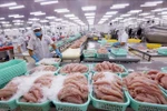 Good news for Vietnam’s tra fish exports to US
