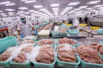 Good news for Vietnam’s tra fish exports to US