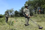ADMM+ Experts’ Working Group on humanitarian mine action to meet