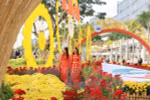 HCM City to welcome New Year with spring flower festival 