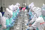 Vietnam GDP's grows 5.93 percent in nine months 