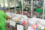 Vietnam falls short of easing gender imbalance in 2016
