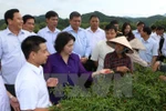 Lang Son required to better investment environment 