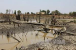 Central Highlands upgrade irrigation network