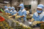 Vietnam, EU firms seek to boost farm produce export