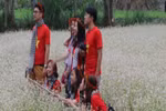 Impressive buckwheat flower festival in Ha Giang