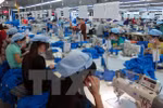 About 5,000 tariff lines go down to zero under Vietnam-EAEU FTA