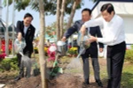 President launches Tree Planting Festival in Tuyen Quang