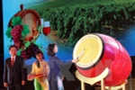 Grapes and Wine Festival opens in Ninh Thuan