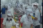 China becomes Vietnam’s second biggest tra fish market 