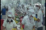 China becomes Vietnam’s second biggest tra fish market 