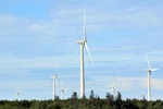 Expert: Law on renewable energy needed