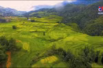 Sapa - Safe destination during epidemic