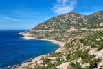 Ninh Thuan attempting to preserve biodiversity