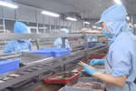  Vietnam's trade surplus reaches 4.72 billion USD in Jan-Feb