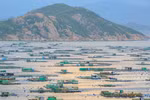 Binh Ba – ‘Island of lobster’ on Cam Ranh Bay