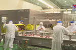 Vietnam eyes world’s top 10 farm produce processing hubs