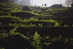 Son Doong Cave voted as new wonders of the world