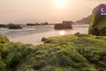 Nam O Reef in Da Nang draws visitors in the spring