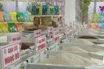 Vietnam's rice export turnover up 23.5% in nine months