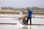 Traditional salt making in Ninh Thuan