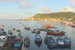 Ly Son in need of fisheries logistics services
