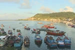 Ly Son in need of fisheries logistics services