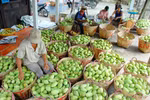 Fruit, veggie exports likely to earn Vietnam 4.7 billion USD in 2018