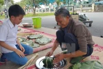 Experiencing traditional Tet at Imperial Citadel 