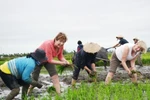 Agro-tourism needs a boost